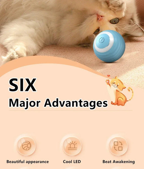 Smart Interactive Rolling Ball for Cats – Electronic Indoor Toy